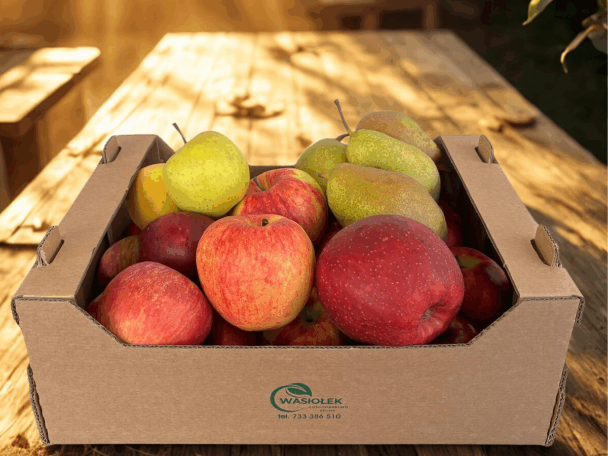 Skrzynka "Owocowa Przerwa" Dom i Biuro - 6,5 kg - obrazek 3