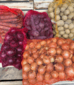 Marchew (niemyta) - obrazek 3