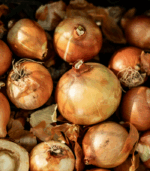 Cebula Biała - obrazek 2