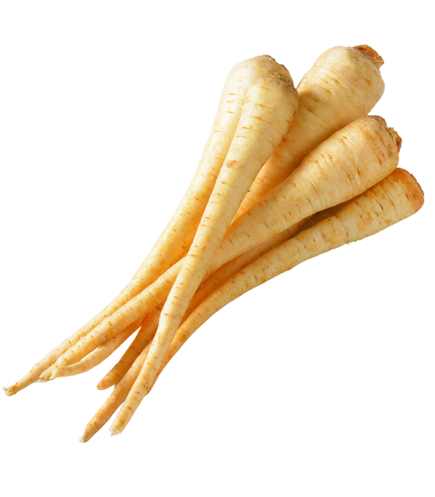 Projekt bez nazwy (52) Pietruszka (niemyta) - 5kg - obrazek 1