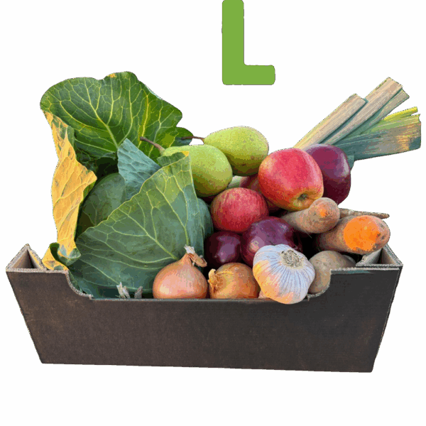 Skrzynka L "Tygodniowy Zapas"