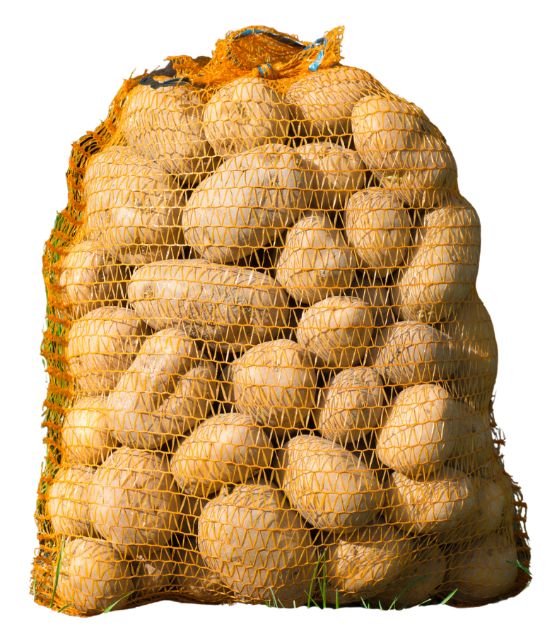 XL (11) Ziemniaki Gala - workowane - obrazek 1