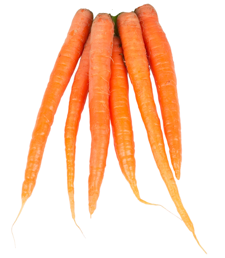 XL (15) Marchew (niemyta) - obrazek 1
