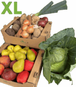 Skrzynka XL "Gospodarska Obfitość"