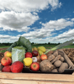 Skrzynka Seniora - obrazek 3