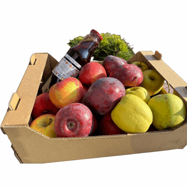 Skrzynka "Gospodarza" - Wybierz Sam