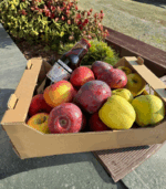 Skrzynka "Gospodarza" - Wybierz Sam - obrazek 2